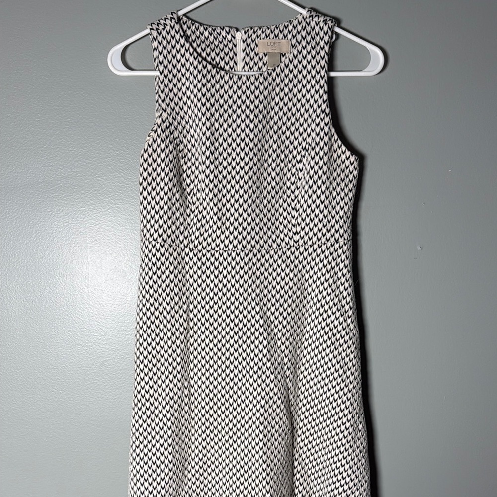 Elegant Black and White Sleeveless Dress